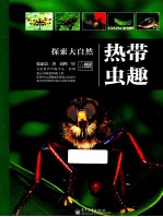 热带虫趣 精装版 全彩