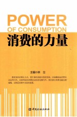 消费的力量