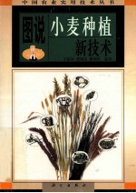 图说小麦种植新技术