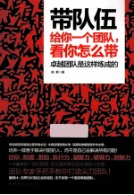 带队伍 给你一个团队,看你怎么带