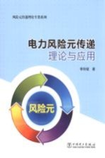 风险元传递理论专著系列 电力风险元传递理论与应用