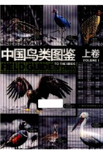 中国鸟类图鉴 上