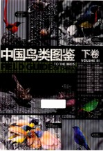 中国鸟类图鉴 下