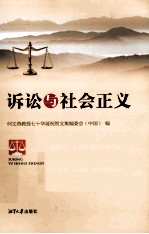 诉讼与社会正义