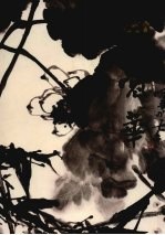 中国近现代名家画集 高冠华