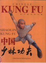 中国少林功夫 天下功夫出少林