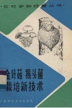金针菇 猴头菌栽培新技术