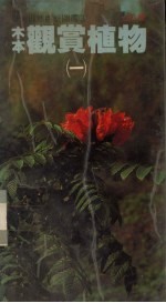 木本观赏植物 1