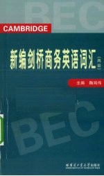 新编剑桥商务英语词汇 高级