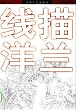 线描洋兰