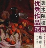 美术院校优秀作品范例 色彩