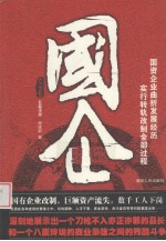 国企 长篇小说