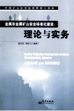 金属非金属矿山安全标准化建设 理论与实务