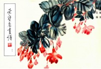 荣宝斋画谱 97 花鸟部分