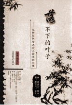 落不下的叶子 在转型社会浪尖上的深圳高度