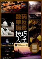 数码单反摄影技巧大全 全彩