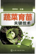 蔬菜育苗关键技术