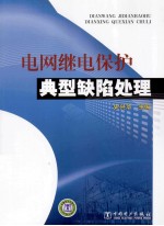 电网继电保护典型缺陷处理