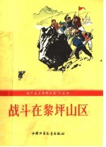 战斗在黎坪山区