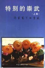 特别的崇武 上