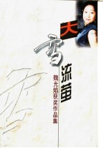 大雪流萤:魏光焰获奖作品集