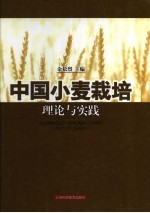 中国小麦栽培理论与实践