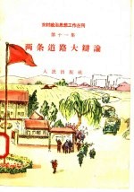 两条道路大辩论