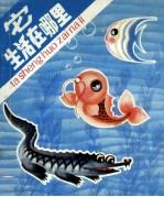 它生活在哪里