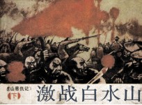 括苍山恩仇记 下 激战白水山