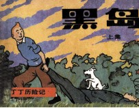 丁丁历险记 上 黑岛