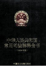 中华人民共和国常用司法解释全书 2004年版