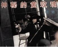 电影连环画册 神秘的黄玫瑰续集