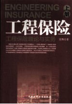 工程保险 工程保险理论与实务 上