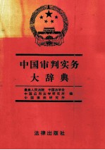 中国审判实务大辞典 下