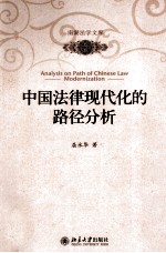 中国法律现代化的路径分析