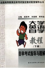 大学英语自学教程自学考试指导与题解 下