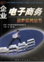 企业电子商务运作实务全书 第2卷