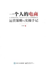 一个人的电商 运营策略与实操手记