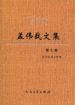 孟伟哉文集 第7卷 你没有停止呼吸
