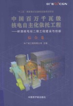 中国百万千瓦级核电自主化依托工程 岭澳核电站二期工程建设与创新 综合卷