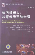 体内机器人 从毫米级至纳米级