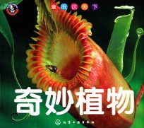 童眼识天下 奇妙植物