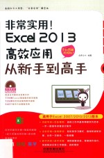非常实用!Excel 2013高效应用从新手到高手 全彩图解视频版