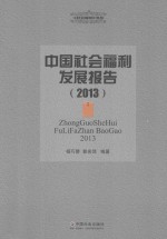中国社会福利发展报告 2013
