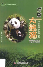 守望大熊猫