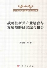 战略性新兴产业培育与发展战略研究综合报告