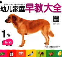 幼儿家庭早教大全 1岁 动物