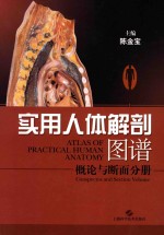 实用人体解剖图谱 概论与断面分册