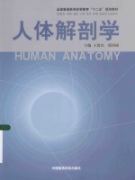人体解剖学
