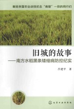 旧城的故事 南方水稻黑条矮缩病防控纪实